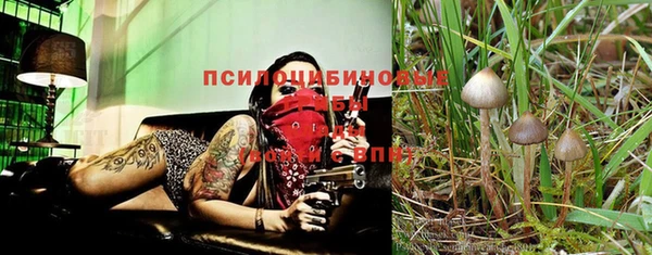 твердый Алексин