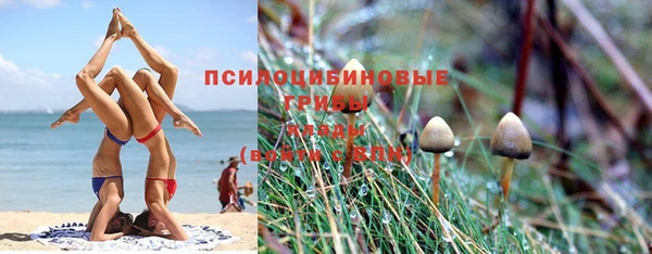гидропоника Абаза