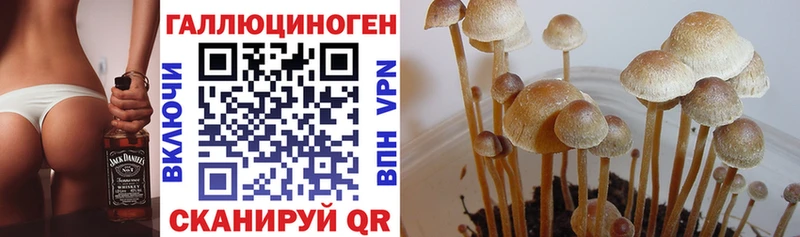 Галлюциногенные грибы Magic Shrooms  Шебекино 