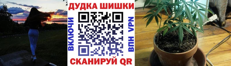 где продают наркотики  Шебекино  Шишки марихуана LSD WEED 